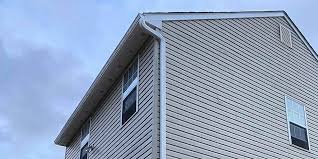 Best Historical Building Siding Restoration  in Perryton, TX